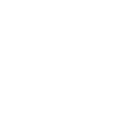 Ricardo Lira´s Art